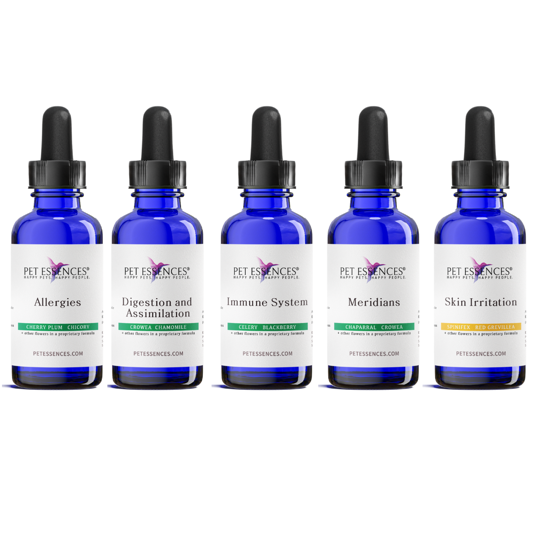 Allergies Bundle