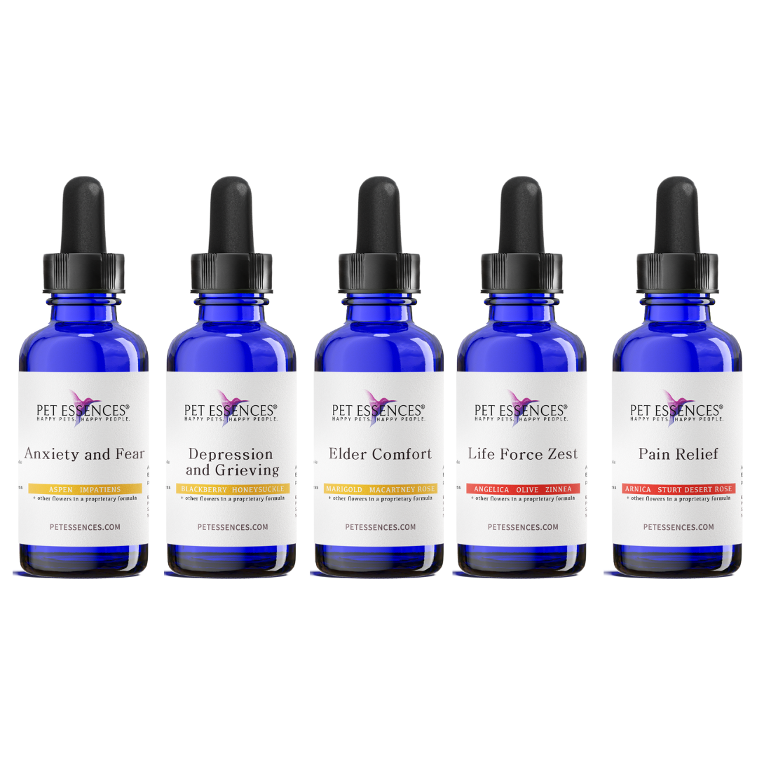 Elder Care Bundle