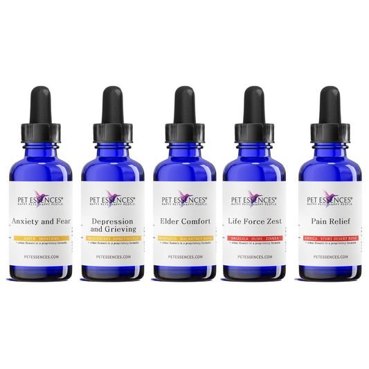 Elder Care Bundle