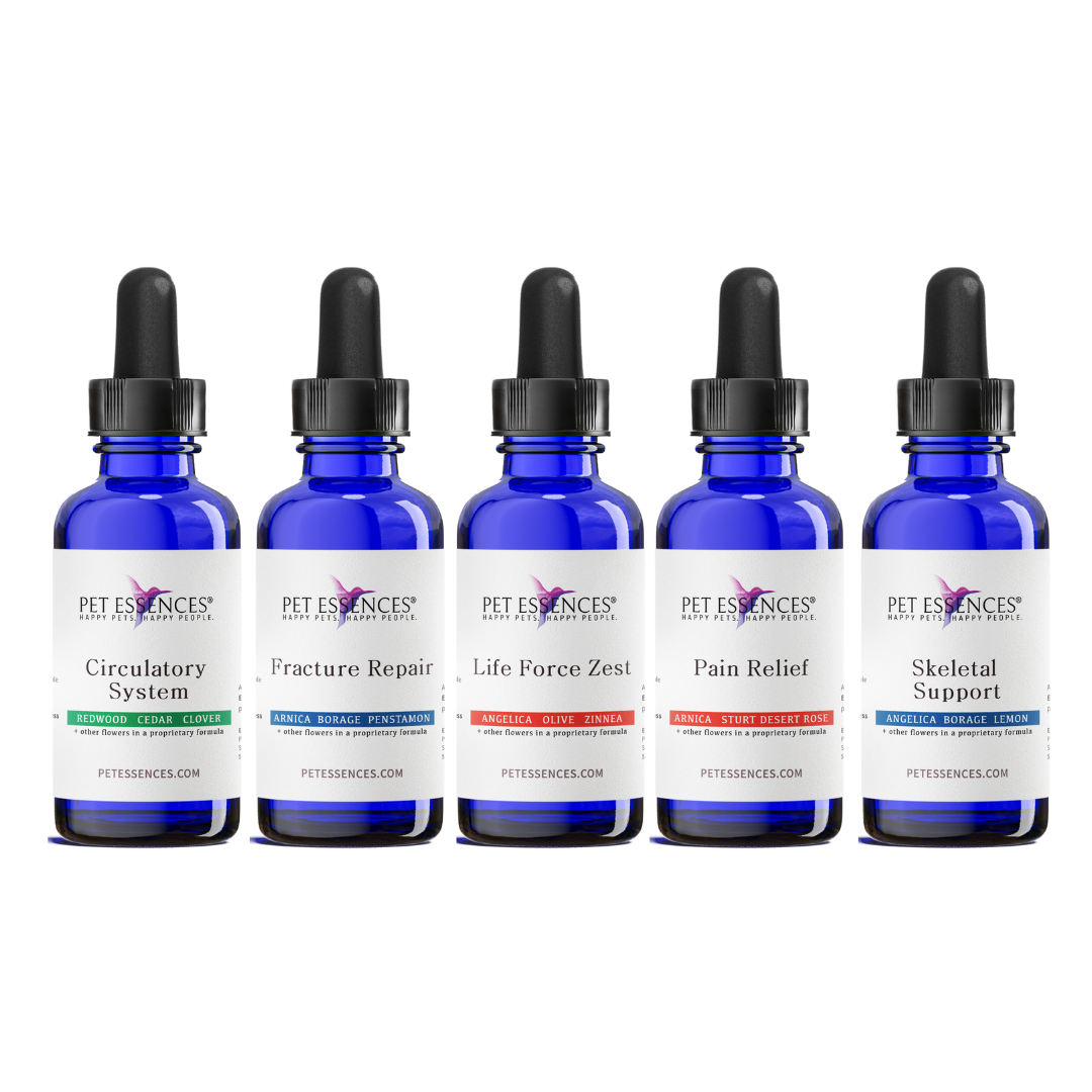 Pet Essences Injury Bundle, five flower essence bottles for dogs and cats