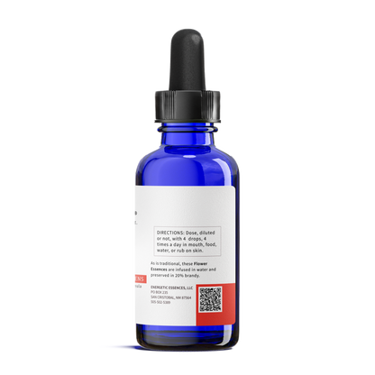 Out of Control Formula  for Dogs, Cats, and more - Pet Essences