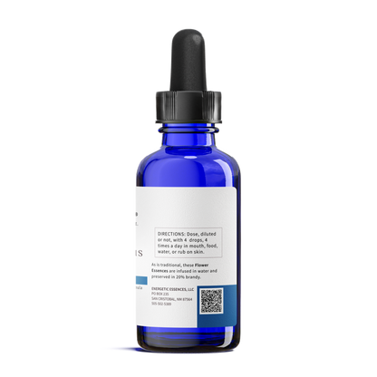 Paralysis Plus Formula  for Dogs, Cats, and more - Pet Essences