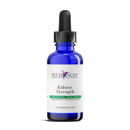 Kidney Strength Formula for Dogs, Cats, and more - Pet Essences
