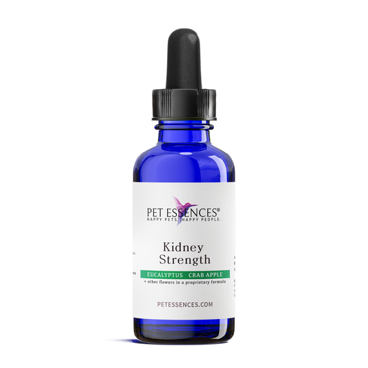 Kidney Strength Formula for Dogs, Cats, and more - Pet Essences