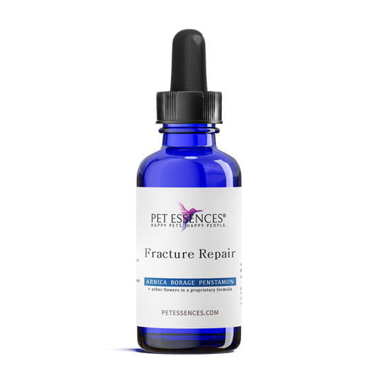 Fracture Repair Formula for Dogs, Cats, and more - Pet Essences