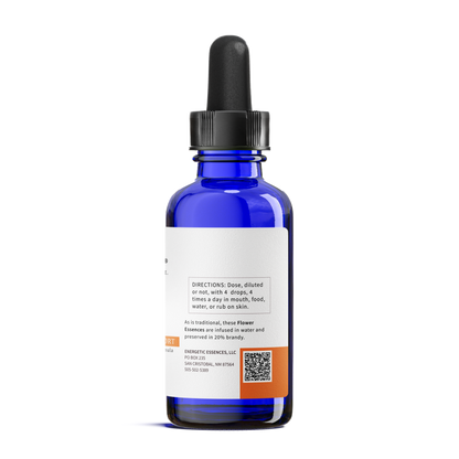 Radiation Formula for Dogs, Cats, and more - Pet Essences