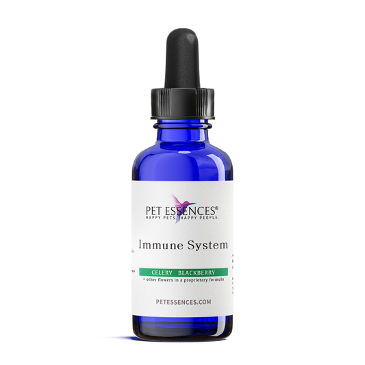 Immune System Formula for Dogs, Cats, and more - Pet Essences