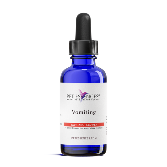 Vomiting Formula for Dogs, Cats and more - Pet Essences