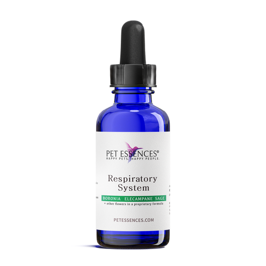 Respiratory System Formula  for Dogs, Cats, and more - Pet Essences