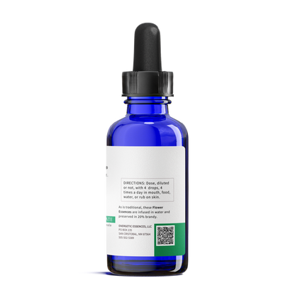 Endocrine System Formula for Dogs, Cats, and more - Pet Essences