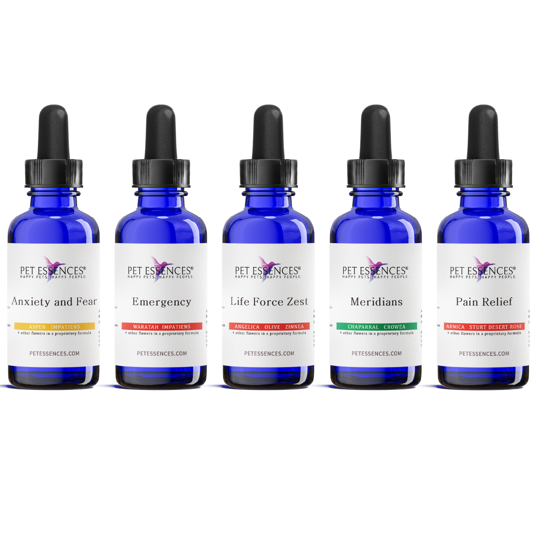 Pet Essences Starter Home Set, five flower essence bottles for dogs and cats