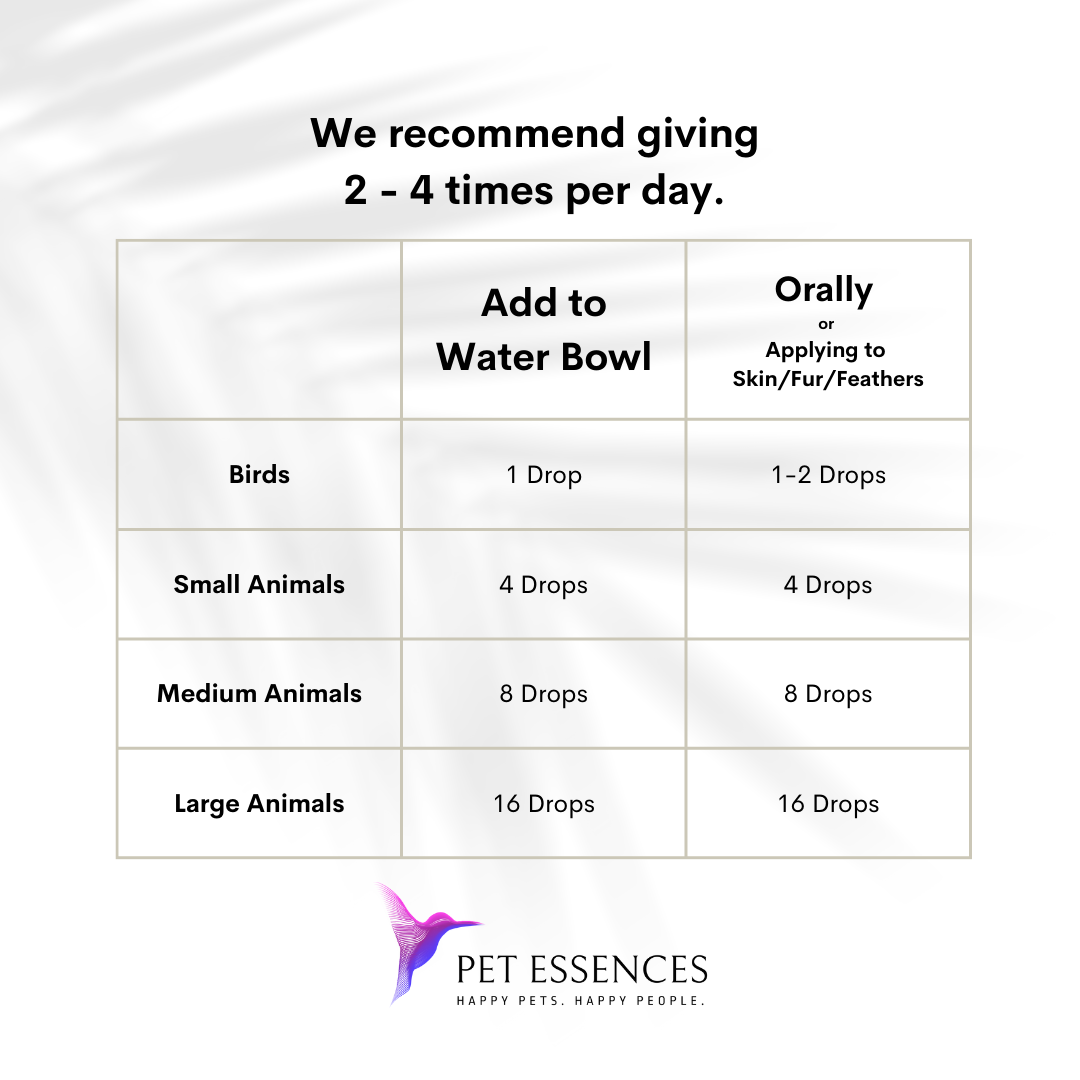 Calming Solution Formula for Dogs, Cats, and more - Pet Essences