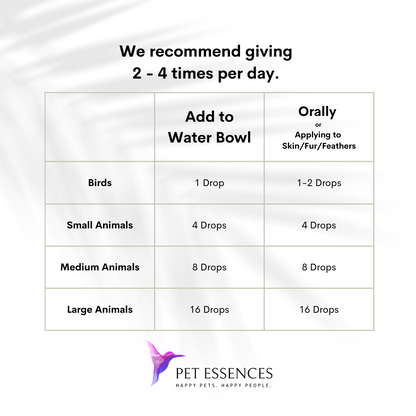Calming Solution Formula for Dogs, Cats, and more - Pet Essences